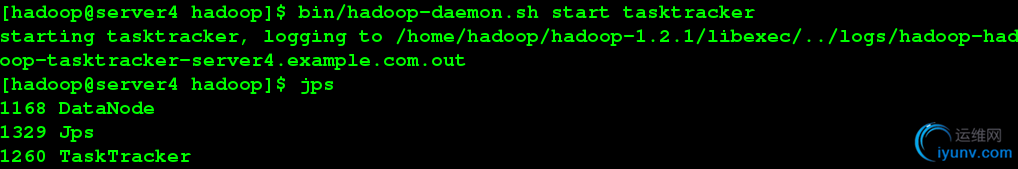 DSC00032.png