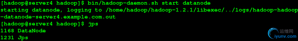 DSC00031.png