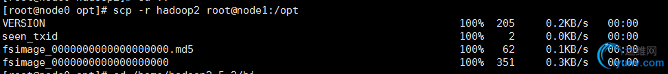 DSC0002.png