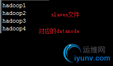 DSC00011.png