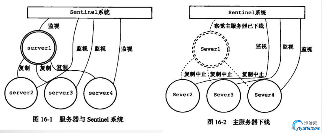 DSC00011.jpg