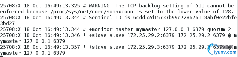DSC00019.png