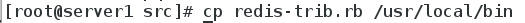 DSC00033.png