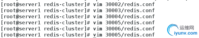 DSC00039.png