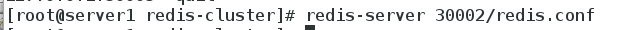 DSC00049.png