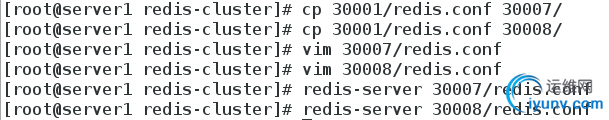 DSC00051.png