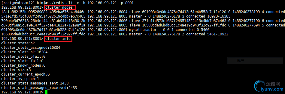 DSC00011.png
