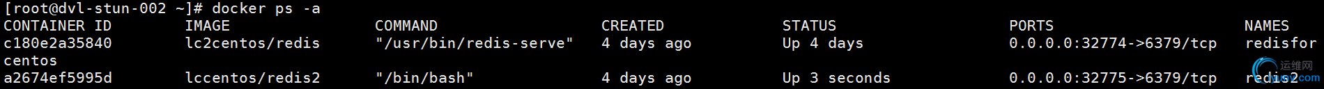 DSC0002.png