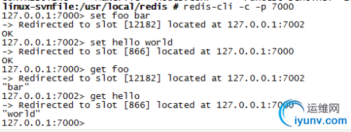 DSC0003.png