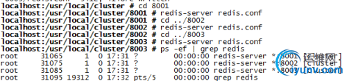 DSC0009.png
