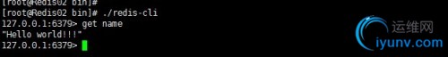 DSC0005.jpg