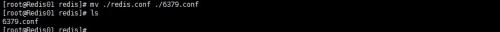 DSC00011.jpg