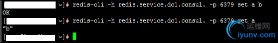 DSC0003.png