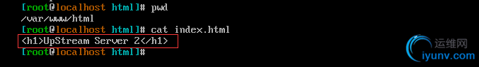 DSC00030.png