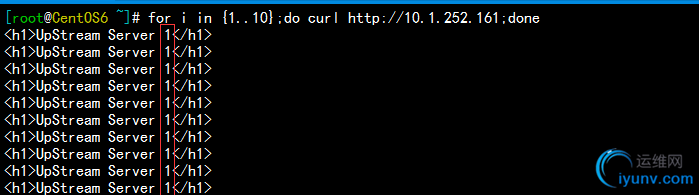 DSC00037.png