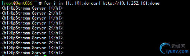DSC00038.png