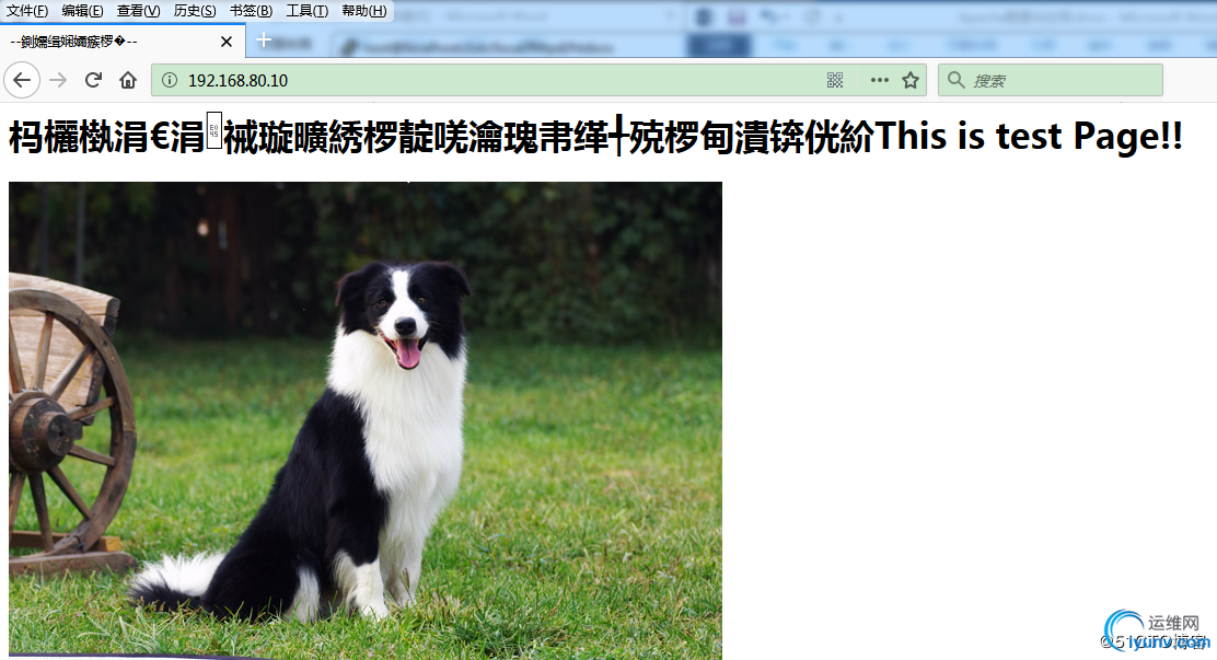 DSC00016.jpg