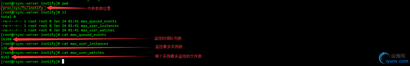 DSC0002.png