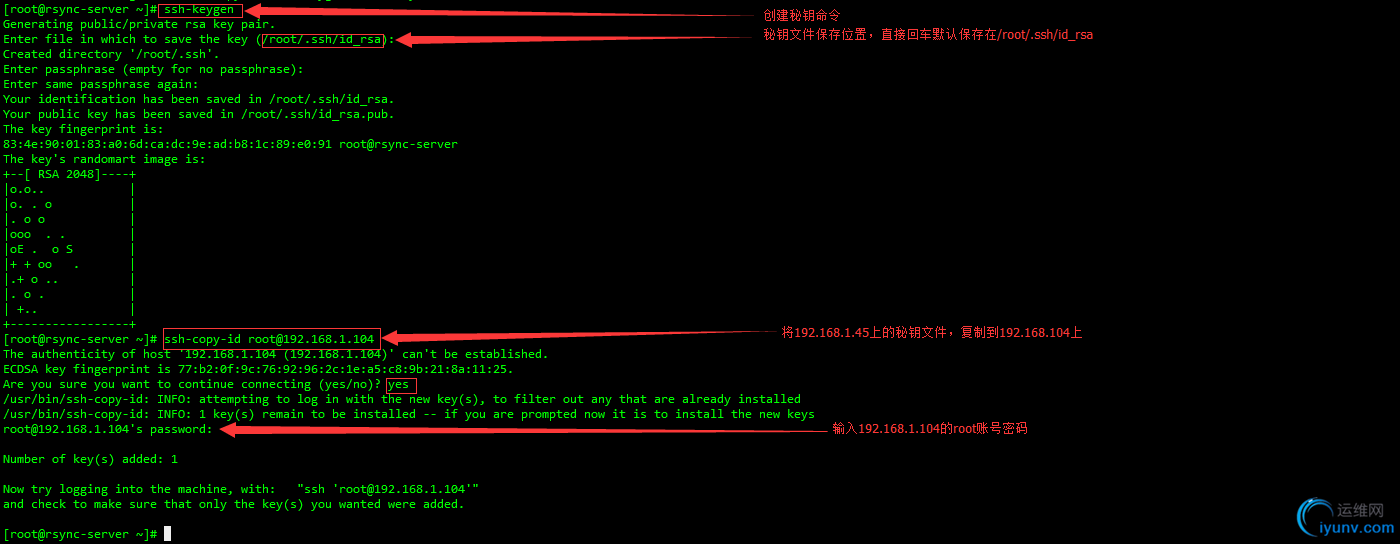 DSC0005.png