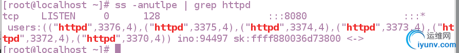 DSC00013.png