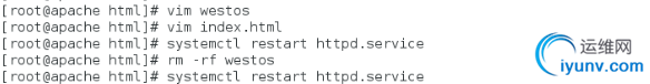 DSC0003.png