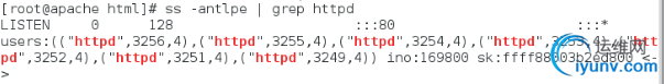 DSC0004.png