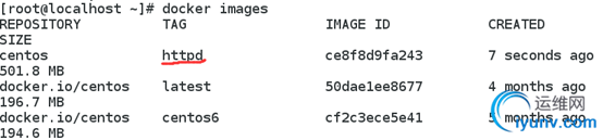 DSC00012.png