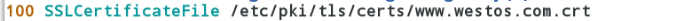 DSC00034.png