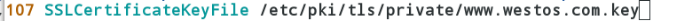 DSC00035.png