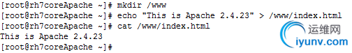 DSC00031.png