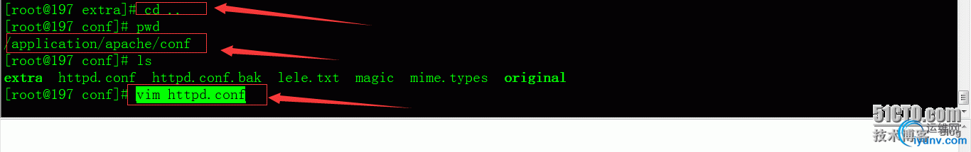 DSC0003.png