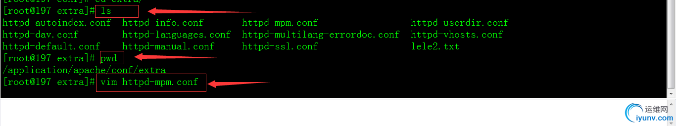 DSC0006.png