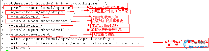 DSC00010.png