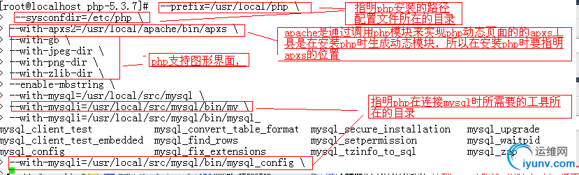 DSC00029.png