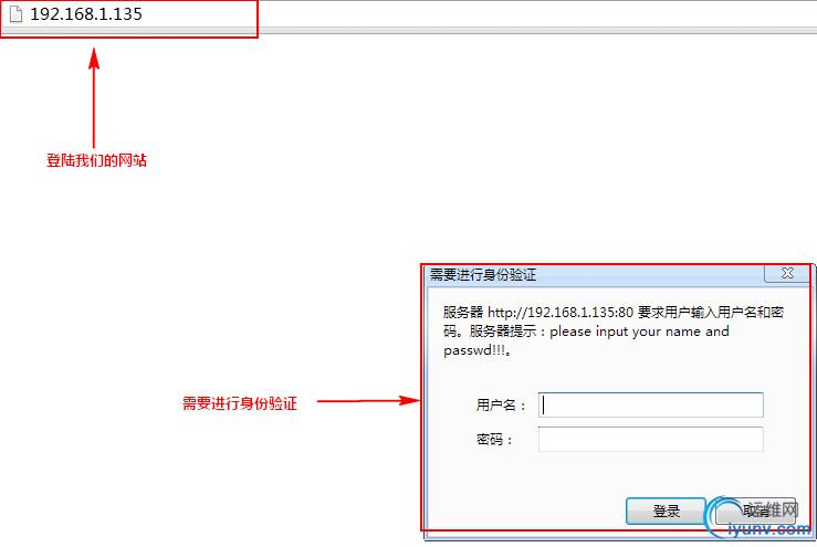 DSC0004.png