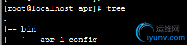 DSC00024.png