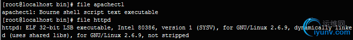 DSC00038.png