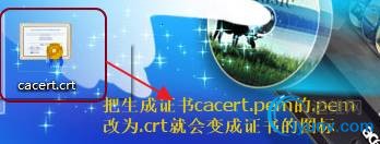 DSC00024.png