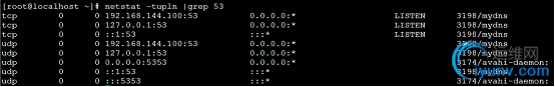 DSC0000.png