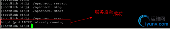 DSC00016.png