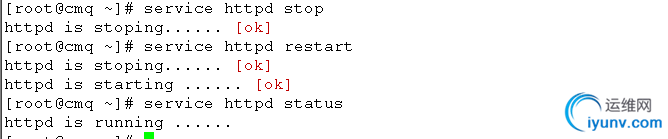 DSC0007.png