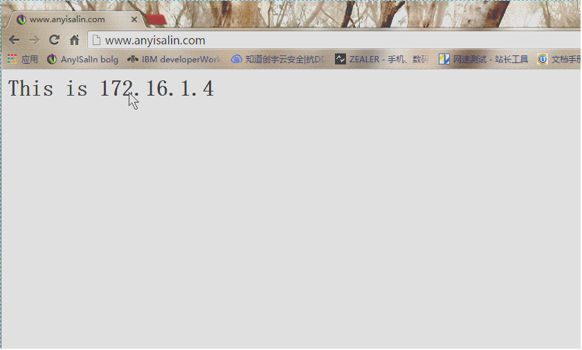 DSC0008.gif