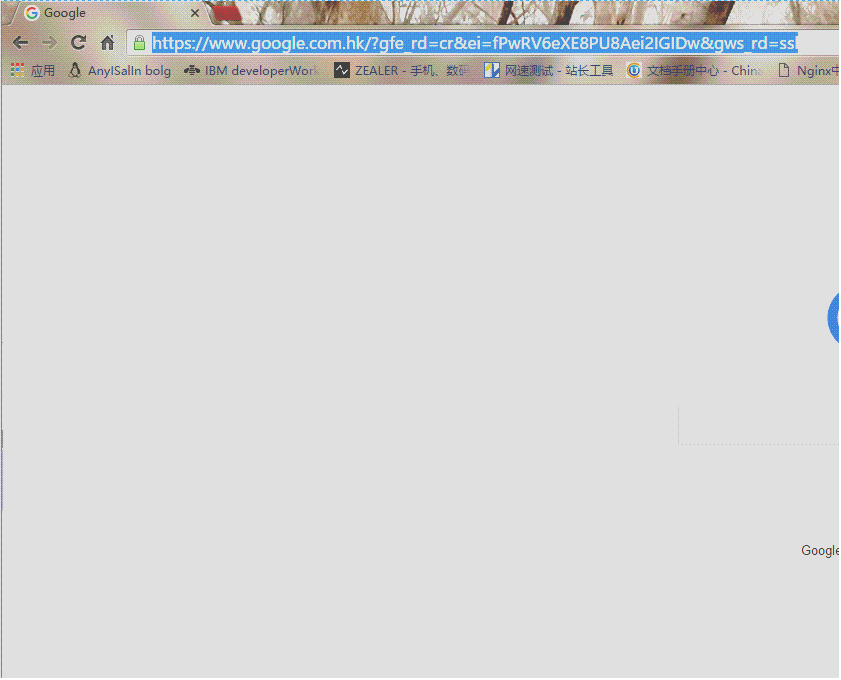 DSC0006.gif