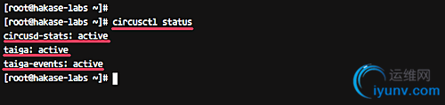 DSC0008.png
